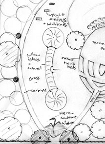 the process -little acorns garden sketch